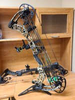 bow.jpg