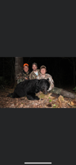 Trevor Bear.png