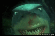 F5DD4CC7-FE60-4177-92D6-EE2B2F90D048.gif