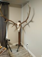IMG_20210814_135220.jpg
