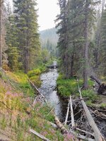 IMG_20210814_165144789.jpg
