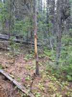 IMG_20210814_182658269.jpg