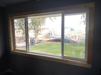 IMG_20210815_173823636.jpg