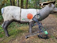 20210815_074508.jpg 20210815_074508.jpg