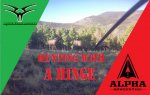 Hunting with a hinge.jpg