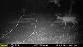 06 Food Plot studs (3).JPG