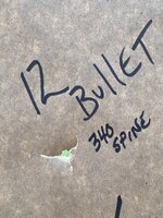 222BAC52-0376-4CAD-A6A4-739D8442530A.jpeg