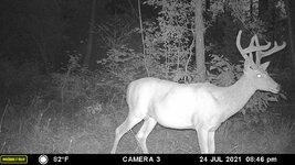 image_6483441 (1).JPG