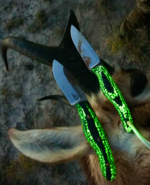 NS3_CF.PNG
