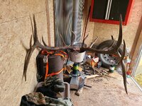 20200926_091130.jpg