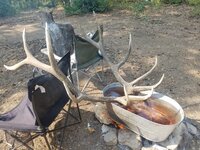 20170906_160114.jpg