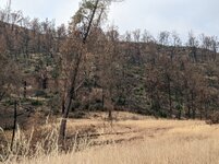 IMG_9238.JPG