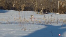 IMG_0002.JPG