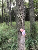 IMG_1239.jpg