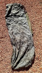 20210826_161704.jpg