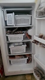 20210827_194326.jpg