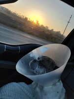 20210827_063616.jpg