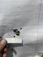 AB64BE97-491B-4E12-BB31-FD0C080A96A9.jpeg