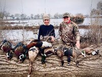 Ducks.jpg