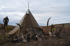 DSC09630.jpg