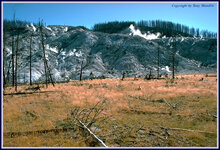 mammothhotsp.jpg
