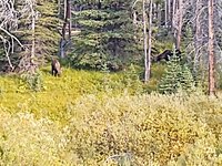 IMG_20210904_175313457.jpg