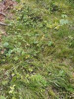 IMG_20210905_174619069.jpg