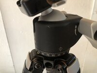 4744F424-FA6E-4AC5-862D-D363B0F704A5.jpeg