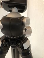 97F1E263-4D22-4B2E-8FBB-1FC6D1186345.jpeg