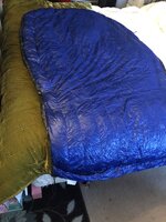 IMG_9028.jpg