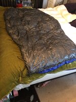 IMG_9029.jpg