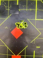 tikka 4.jpg