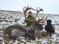 2012 caribou.jpg