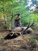 2021 Elk OR Bow (2).jpg