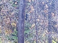 IMG_20210911_173404672.jpg