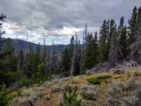 IMG_20210911_155821916_HDR.jpg