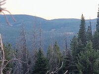 IMG_20210911_195014067.jpg