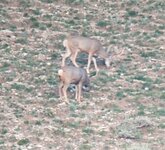 IMG_20210910_191405347~2.jpg
