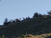 IMG_20210912_082423255.jpg