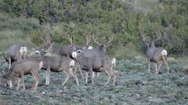 DSC01435.JPG