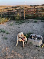 IMG_7937.jpeg