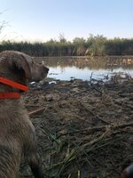 IMG_7927.jpeg