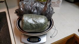 tarp 3.jpg tarp 3.jpg