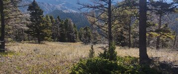 IMG_20210914_114912015_HDR~2.jpg