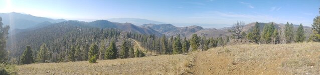 IMG_20210914_105251233.jpg