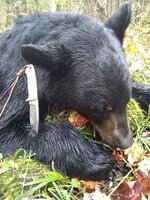 IMG_20181010_151534460.jpg