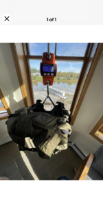77E31455-CB98-4315-8532-61936A33EF42.png