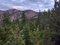 IMG_20210916_074845679_HDR.jpg