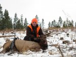 Rifle Cow 10.14.12 (3).jpg