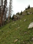 Backpacking trips 003.jpg